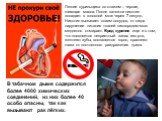 В табачном дыме содержится более 4000 химических соединений, из них более 40 особо опасны, так как вызывают рак лёгких. Легкие курильщика со стажем – черная, гниющая масса. После затяжки никотин попадает в головной мозг через 7 секунд. Никотин вызывает спазм сосудов, от сюда нарушение питания тканей