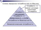 Схема иерархии потребностей по Маслоу. Физиологические потребности. Потребности безопасности. Потребности в принадлежности и любви. Потребность самоуважения. Потребность в самоактуализации (реализации потенциала)