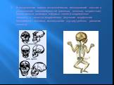В антропологии задача остеологических исследований состоит в установлении закономерностей (расовых, половых, возрастных) изменчивости размеров и формы скелета современного человека, а также его морфогенеза (изучение морфологии ископаемого человека, исследование внутриутробного развития скелета).