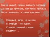 Как на нашей грядке выросли загадки Сочные да крупные, вот такие круглые. Летом зеленеют, к осени краснеют. Красный, дети, но не мак. В огороде - не бурак. Сочный лакомый синьор. Угадали? …