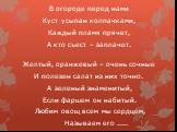 В огороде перед нами Куст усыпан колпачками, Каждый пламя прячет, А кто съест – заплачет. Желтый, оранжевый – очень сочные И полезен салат из них точно. А зеленый знаменитый, Если фаршем он набитый. Любим овощ всем мы сердцем, Называем его .....