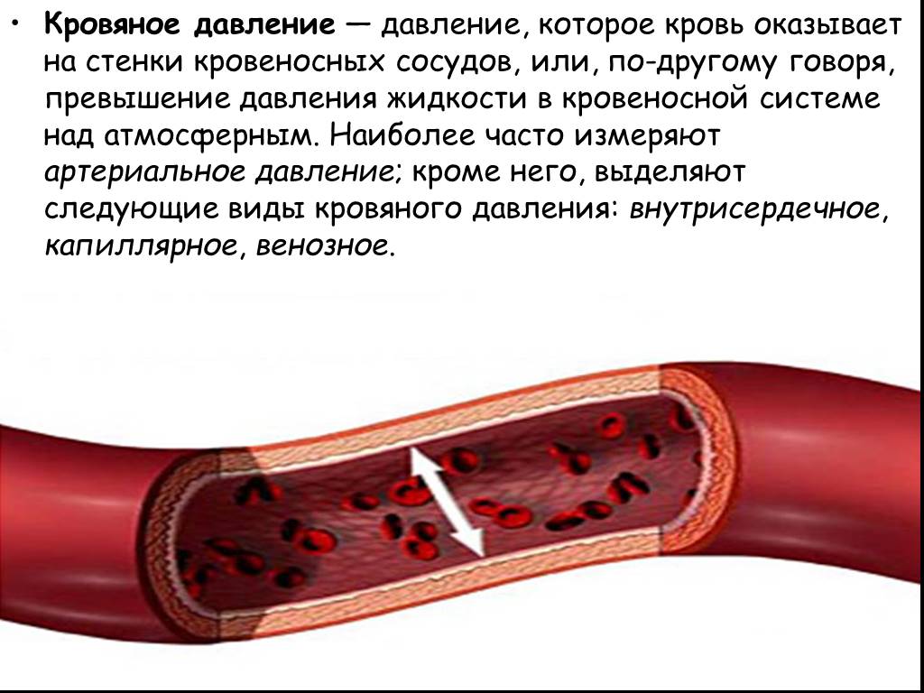 Расширение артериальных сосудов. Кровяное давление. Артериальное кровяное давление. Артериальнооедавление. Кровеносное давление.