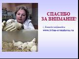 СПАСИБО ЗА ВНИМАНИЕ! i_Ermakova@mail.ru www.irina-ermakova.ru