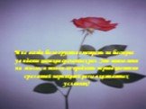 Мне всегда было грустно смотреть на быстрое увядание цветков срезанных роз. Это навело меня на мысль, а нельзя ли продлить период цветения срезанной парниковой розы в комнатных условиях?