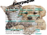 Биография. Чарльз Ро́берт Да́рвин (англ. Charles Robert Darwin; 12 февраля 1809 — 19 апреля 1882) — английский натуралист и путешественник, одним из первых осознал и наглядно продемонстрировал, что все виды живых организмов эволюционируют во времени от общих предков. В своей теории, первое развёрнут