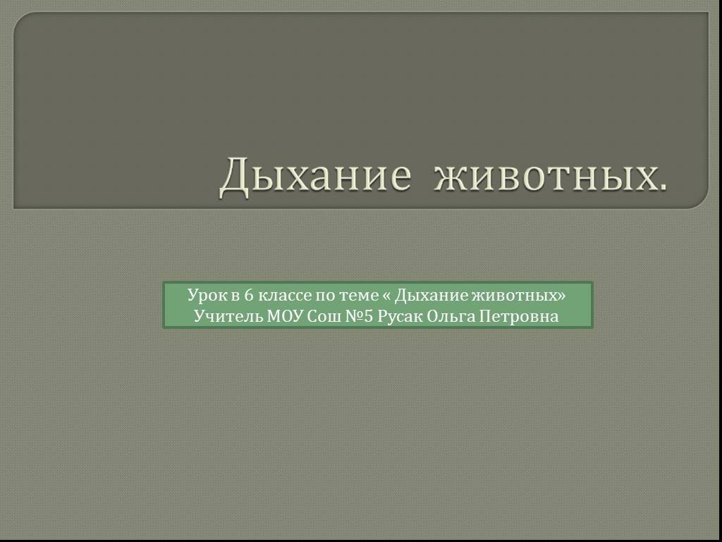 Дыхание животных 3 класс. Дыхание животных 5 класс биология. Дыхание животных презентация 6 класс. Презентация по дыханию животных. Дыхание животных 1 класс.