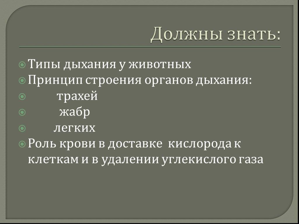 Презентация дыхание животных 6 класс. Дыхание животных презентация. Типы дыхания у животных сообщение. Презентация на тему дыхание животных 6 класс. Дыхание животных презентация 6 класс.