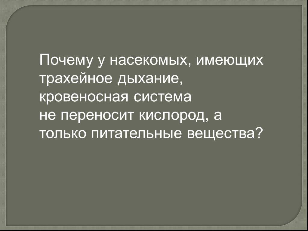 Презентация дыхание животных 6 класс