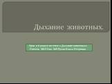 Урок в 6 классе по теме « Дыхание животных» Учитель МОУ Сош №5 Русак Ольга Петровна