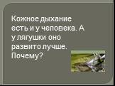 Кожное дыхание есть и у человека. А у лягушки оно развито лучше. Почему?