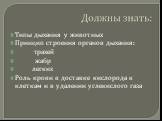 Типы дыхания у животных Принцип строения органов дыхания: трахей жабр легких Роль крови в доставке кислорода к клеткам и в удалении углекислого газа