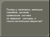 Почему у насекомых, имеющих трахейное дыхание, кровеносная система не переносит кислород, а только питательные вещества?