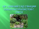 НР «Зимний сад Станции юных натуралистов г. Омск