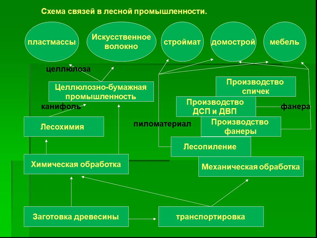 Схема лесной отрасли