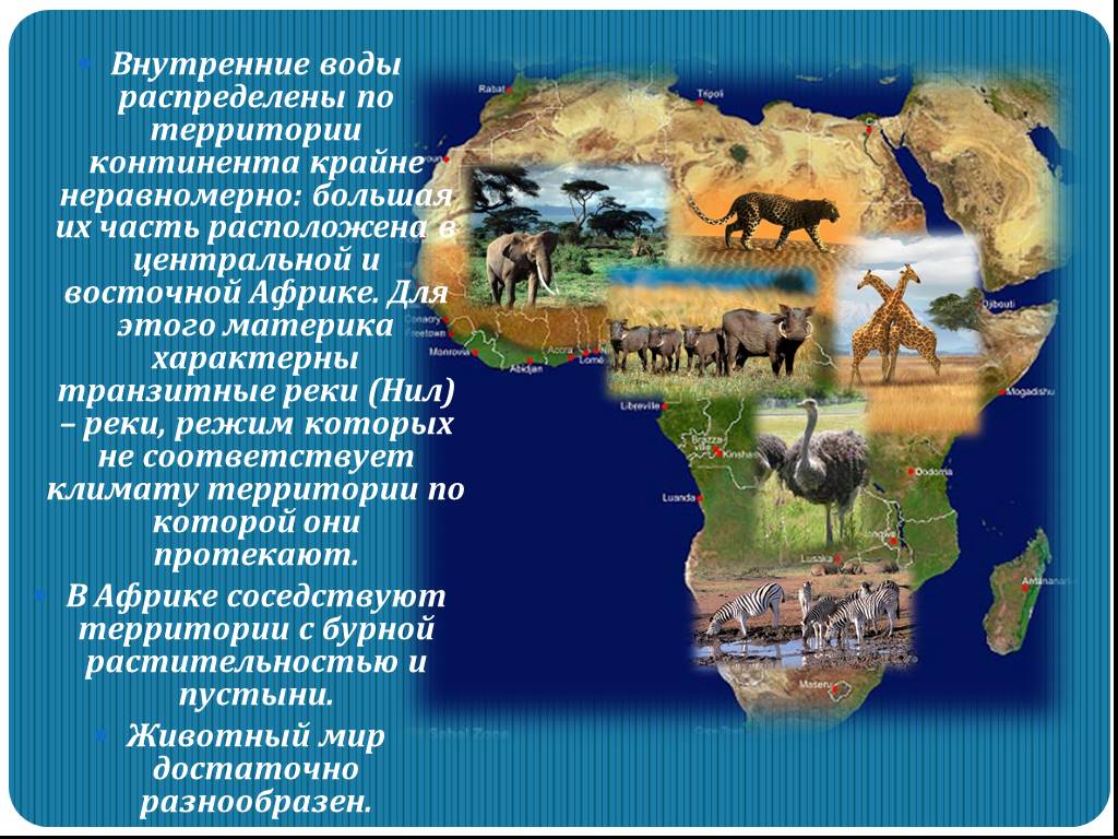 По странам и континентам 6 класс. Континент Африка 7 класс география. Африка презентация география. Африка образ материка. Материк Африка 7 класс география.