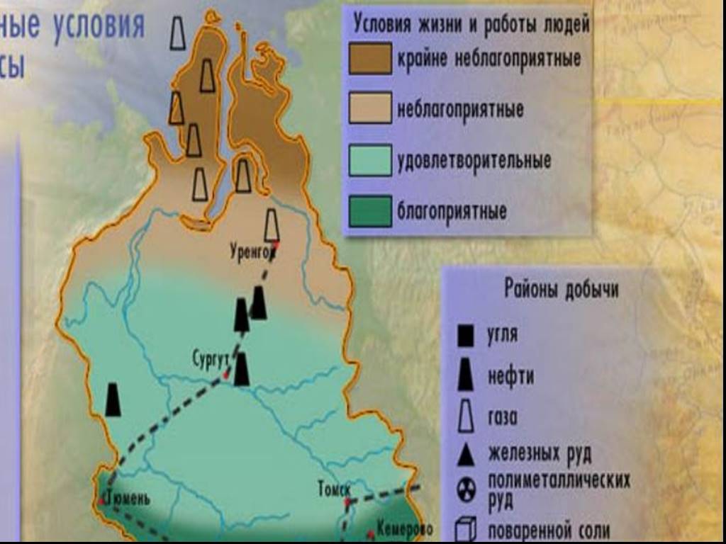 Природа западной сибири 9 класс география