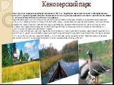 Кенозерский парк. Кенозерский национальный парк образован в 1991 году. Территория парка представляет собой природный и историко-архитектурный комплекс площадью 1396 кв. км, расположенный на юго-западе Архангельской области в границах Каргопольского и Плесецкого районов. Парк является эталонной систе