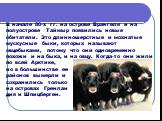 В начале 80-х гг. на острове Врангеля и на полуострове Таймыр появились новые обитатели. Это длинношерстные и мохнатые мускусные быки, которых называют овцебыками, потому что они одновременно похожи и на быка, и на овцу. Когда-то они жили по всей Арктике, но в большинстве ее районов вымерли и сохран