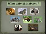 ? What animal is absent?