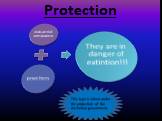 Protection. This type is taken under the protection of the Australian government.