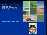 Agriculture - crops - barley, oats, wheat, sugar beet, fodder crops, horticulture (Sh., SW.England), potato (Ulster). Brewing industry - brewery Bass.
