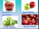 two apples an apple = one apple three apples many apples
