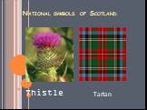 National symbols of Scotland Tartan Thistle