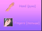Hand (рука) Fingers (пальцы)
