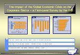 The Impact of the Global Economic Crisis on the Corporate Sector – a Firm-Level Survey by the WB. The Impact of the Global Economic Crisis on the Corporate Sector in Europe and Central Asia: Evidence from a Firm-Level Survey Paulo Correa and Mariana Iootty