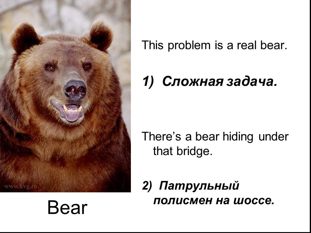 Under bear перевод. This is a Bear. This is a Bear this is a Hare раскраска. Bear на американском сленге. This is a Bear this is a Hare книга.