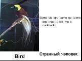 Some old bird came up to me and tried to sell me a cookbook. Странный человек.