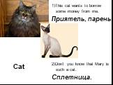 Cat. 1)This cat wants to borrow some money from me. Приятель, парень 2)Don’t you know that Mary is such a cat. Сплетница.