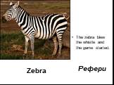 Zebra. The zebra blew the whistle and the game started. Рефери
