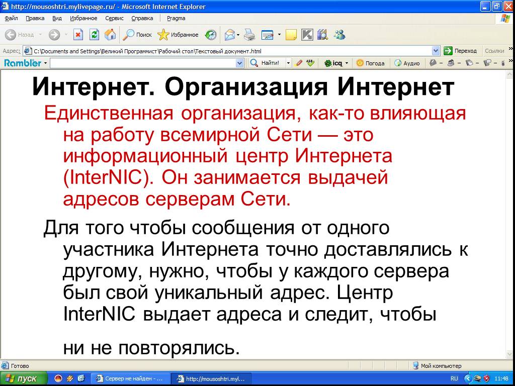 Единственная организация. Организация интернета. Для чего нужен INTERNIC.