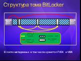 Структура тома BitLocker. В полях метаданных в том числе хранятся FVEK и VMK