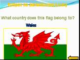 Wales. What country does this flag belong to?