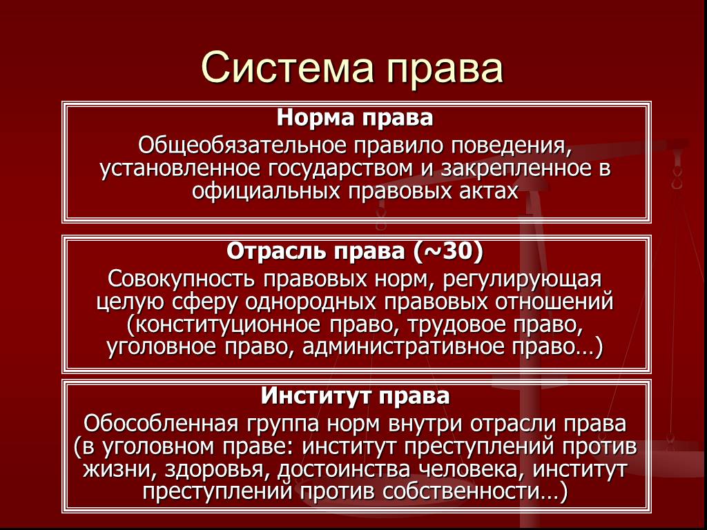 Образовательное право в российской правовой системе