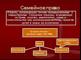 Семейное право. Отрасль, регулирующая личные неимущественные и имущественные отношения граждан, возникающие из брака, родства, усыновления, опеки и попечительства над несовершеннолетними, принятия детей в семью на воспитание. Основной источник – Семейный кодекс РФ (1996). Браки Фактические Гражданск