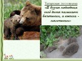 Татарская поговорка «И бурая медведица своё дитя называет беленьким, а ежиха - мягоньким»