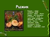 Рыжик. Рыжики – самые любимые грибы русского народа. Рыжик недаром так называется. И шляпка, и ножка у этого гриба золотисто-оранжевая или ярко-рыжая. Рыжики – очень душистые грибы, впитавшие лесные ароматы и сосновой смолы, и росистых елей
