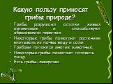 Какую пользу приносят грибы природе? Грибы разрушают остатки живых организмов и способствуют образованию перегноя. Некоторые грибы помогают растениям впитывать из почвы воду и соли. Грибами питаются многие животные. Некоторые грибы помогают готовить пищу. Есть грибы-лекарства.