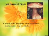 ЖЕЛЧНЫЙ ГРИБ. Какой гриб называют «несъедобным двойником» белого гриба?