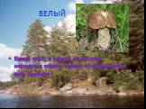 БЕЛЫЙ. Какой гриб, в одной из русских народных сказок, назван «полковником всех грибов»?