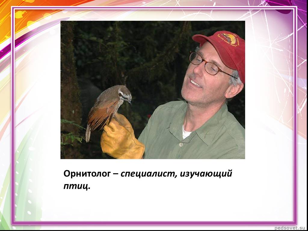 Специалист по птицам. Орнитолог профессия. Профессия изучающая птиц. Специалист по изучению птиц. Что изучает орнитолог.