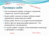 Проверь себя. Как называется рыбка, которая с огромной скоростью мчится над водой? Какая рыба своими острыми зубами может удерживать даже морских ежей? Какая рыба мчится со скоростью автомобиля? Дайте другое название рыбы-крылатки. Что напоминают её плавники? О какой рыбке говорят: «Она появляется н