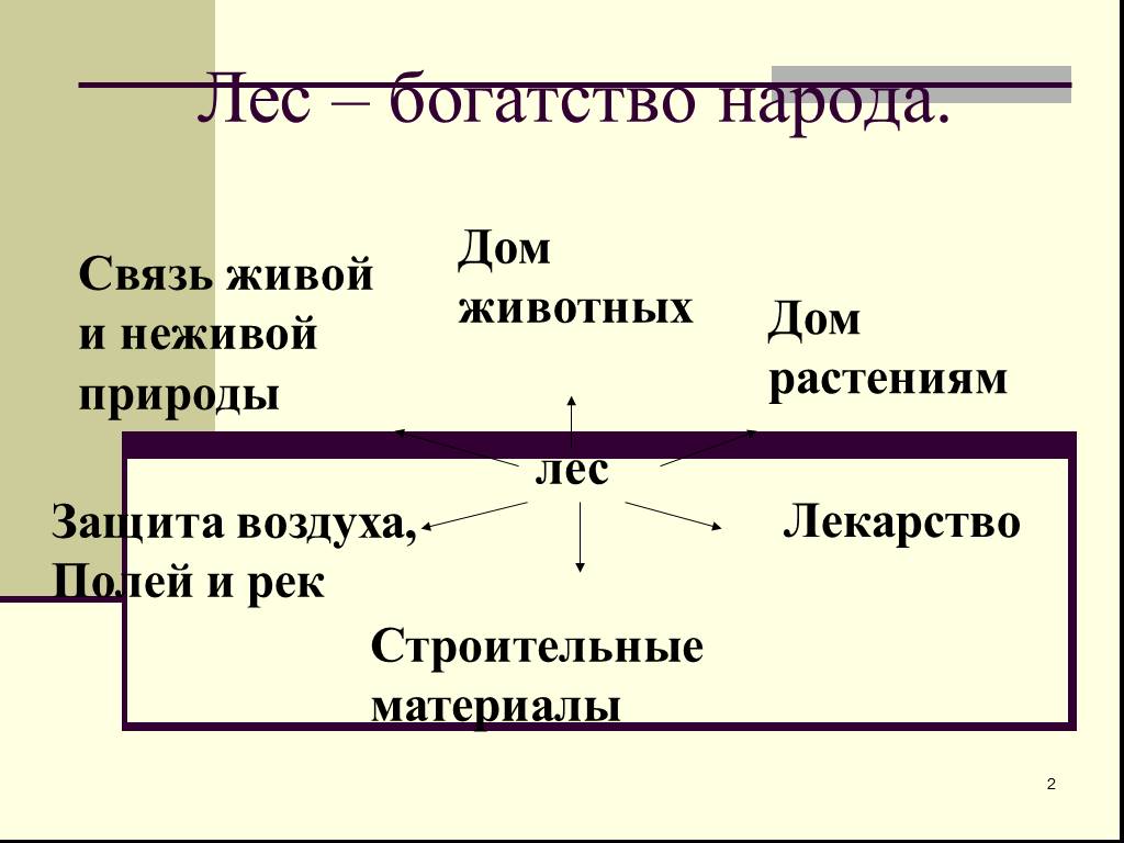 Народы леса. Связи это богатство