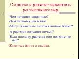 -Чем питаются животные? -Чем питаются растения? -Могут животные питаться ночью? Какие? -А растения питаются ночью? -Если я позову растение оно подойдет ко мне? Животные видит и слышат.