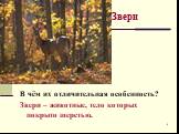 В чём их отличительная особенность? Звери – животные, тело которых покрыто шерстью.