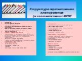 Структура перспективного планирования (в соответствии с ФГОС. Титульный лист Список методической литературы Список детей по подгруппам Расписание организованной образовательной деятельности (указать время) Формы организации детских видов деятельности (таблица) Задачи воспитания и развития детей (на 