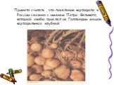 Принято считать , что появление картофеля в России связано с именем Петра Великого, который якобы прислал из Голландии мешок картофельных клубней.